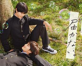 怎么做一个网站seo